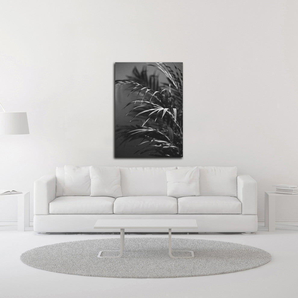 Black Plant by Design Fabrikken, Print on Canvas, 25"x35"
