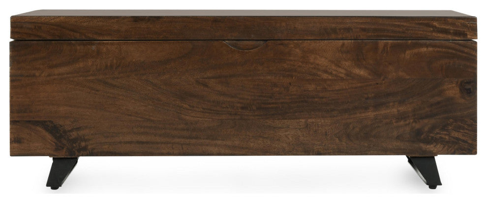 Axis 46" Storage Trunk by Kosas Home, Dark Brown