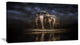 Elephants Watering in the River, Animal Canvas Wall Art, 40x20