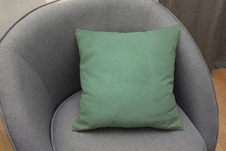 A1HC Throw Pillow Insert, Down Alternative Fill, Single, Como Green, 20"x20"