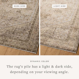 Loloi Priscilla Beige / Earth 2'-6" x 7'-6" Runner Rug