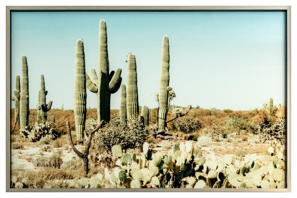 Saguaro