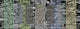Rock Panels, Signed Limited Edition, Art Print, 24"x8.875"