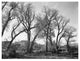 "At Taos Pueblo National Historic Landmark, ca. 1941-1942" Paper Art, 24"x19"