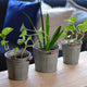 3 Piece Corrugated Bucket Cache Pot Planter