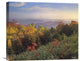 "Deciduous Forest, Blue Ridge Mountains, North Carolina" Artwork