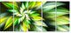 Exotic Green Fractal Spiral Flower, Abstract Canvas Art Print, 60"x28", 5 Panels