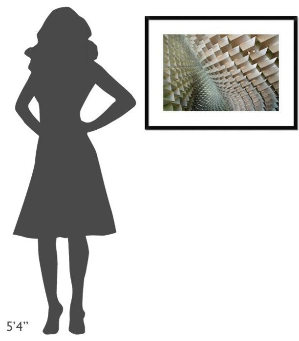 "Serpentine" Framed Digital Print by Linda Wride, 32x24"