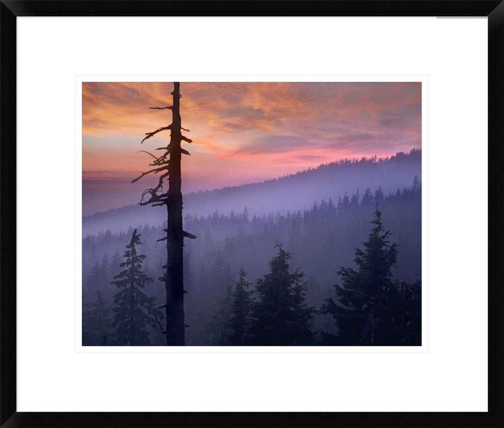 Sunset Over Forest, Crater Lake National Park, Oregon, 22"x18"