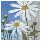 "Summer Garden I Silver" Digital Paper Print by Kathrine Lovell, 20"x20"