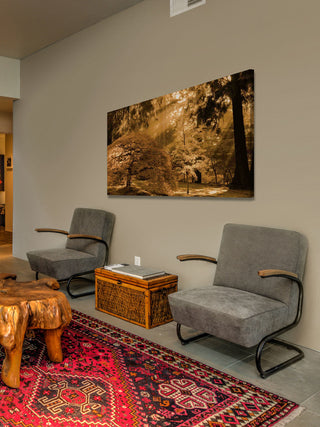 "Bathed in Morning Light" Painting Print on Canvas