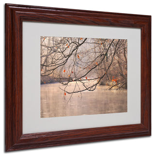 'Skylight' Matted Framed Canvas Art by Philippe Sainte-Laudy