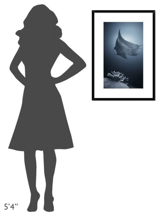 "Sonata" Framed Digital Print by Andrey Narchuk, 21x30"