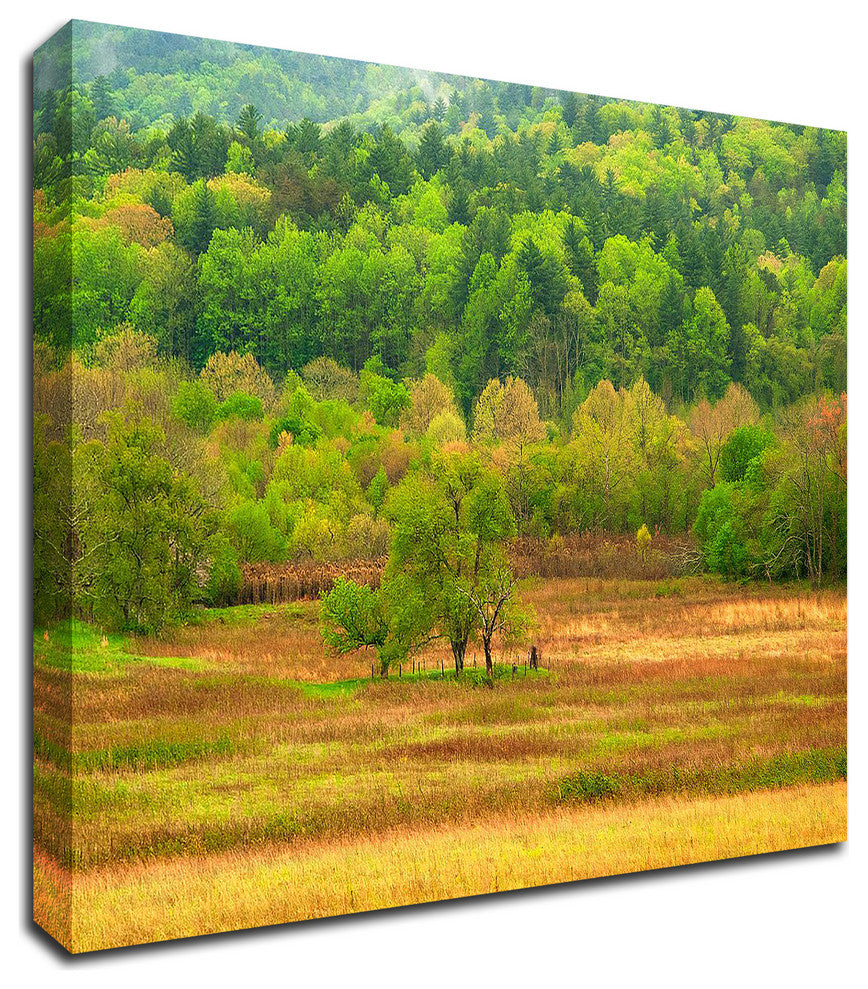 Spring Trees by David Hammond, Print on Canvas, 18"x14"