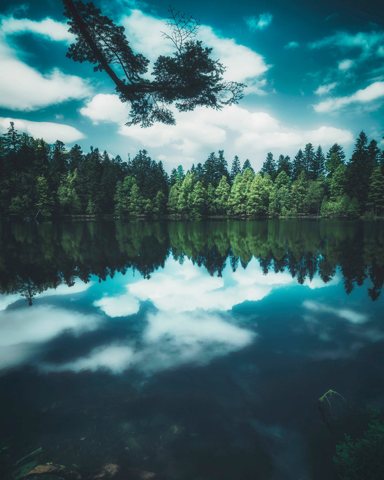 30x38 Reflection II, Unframed Artwork