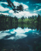 30x38 Reflection II, Unframed Artwork