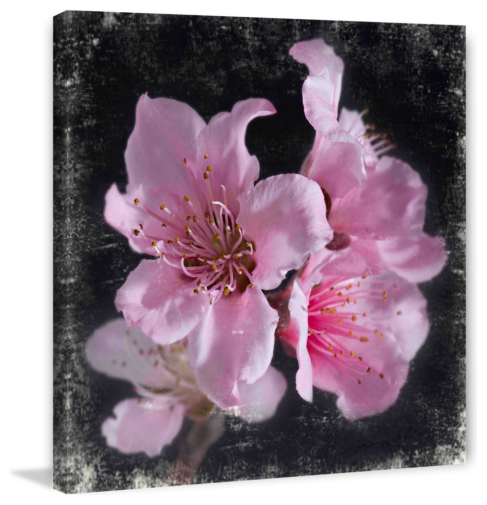 "Plam Pink Blossoms" Painting Print on Canvas by Aryai