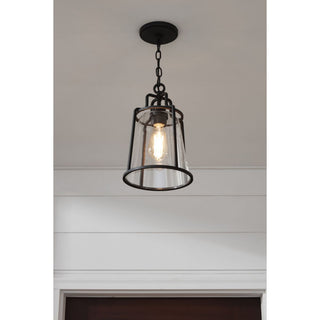 Benton Harbor Collection 1-Light Hanging Lantern with DURASHIELD