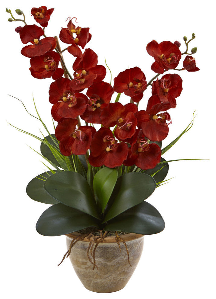 Double Phalaenopsis Harvest Silk Orchid Arrangement, Ceramic Vase, Autumn