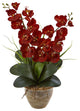 Double Phalaenopsis Harvest Silk Orchid Arrangement, Ceramic Vase, Autumn