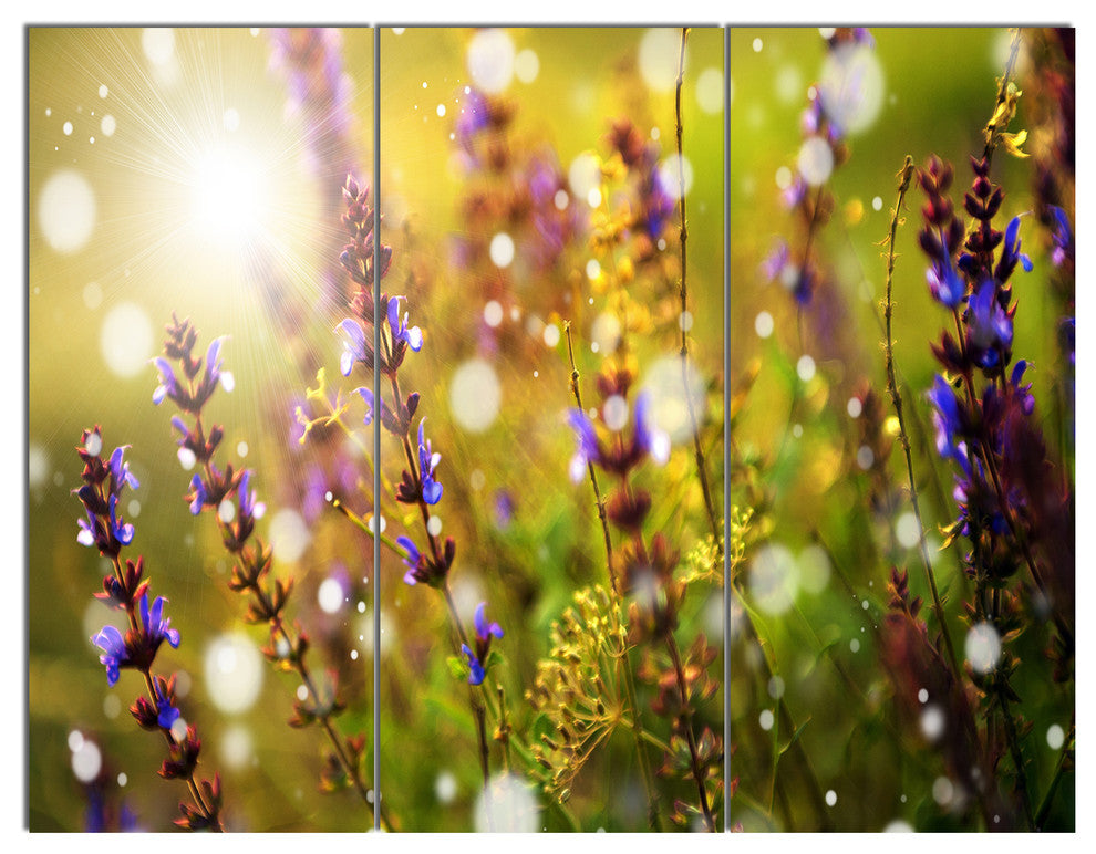 Beautiful Purple Wild Flowers, Large Floral Triptych Canvas Art, 36x28, 3 Panels
