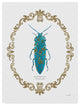 James Wiens ''Adorning Coleoptera Viii'' Canvas Art, 35"x47"