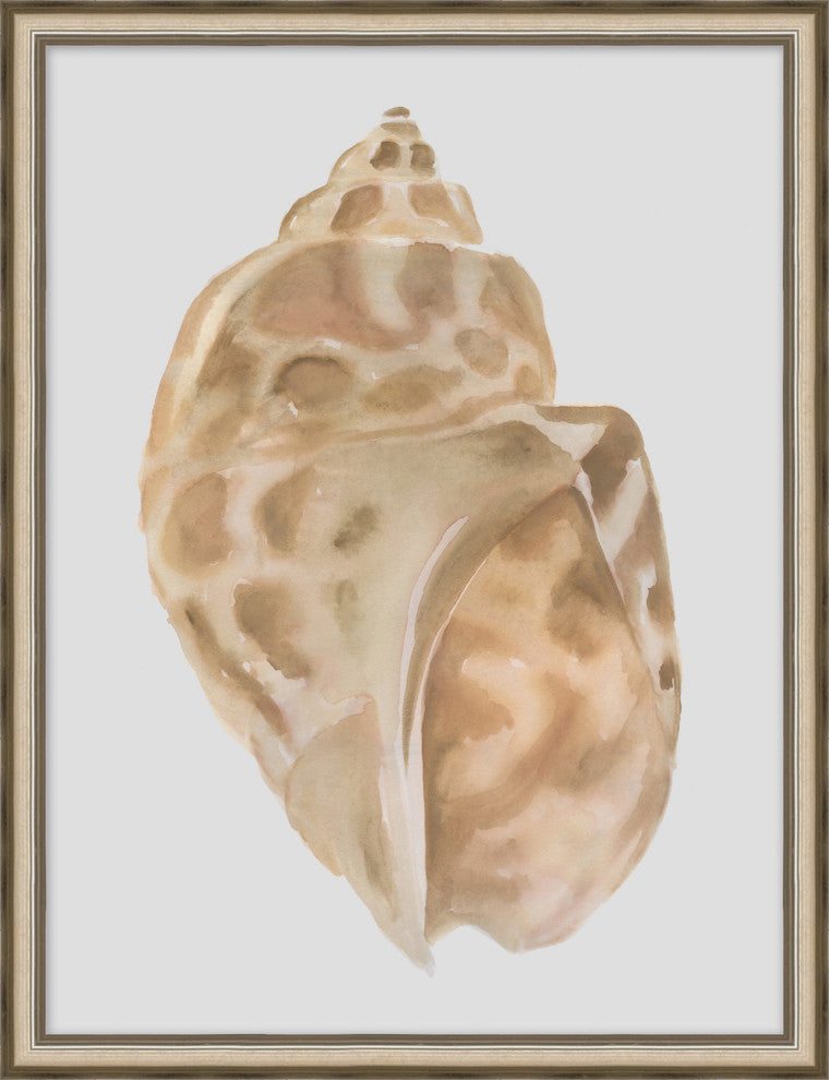 Watercolor Sea Shells 5, Giclee Reproduction Artwork