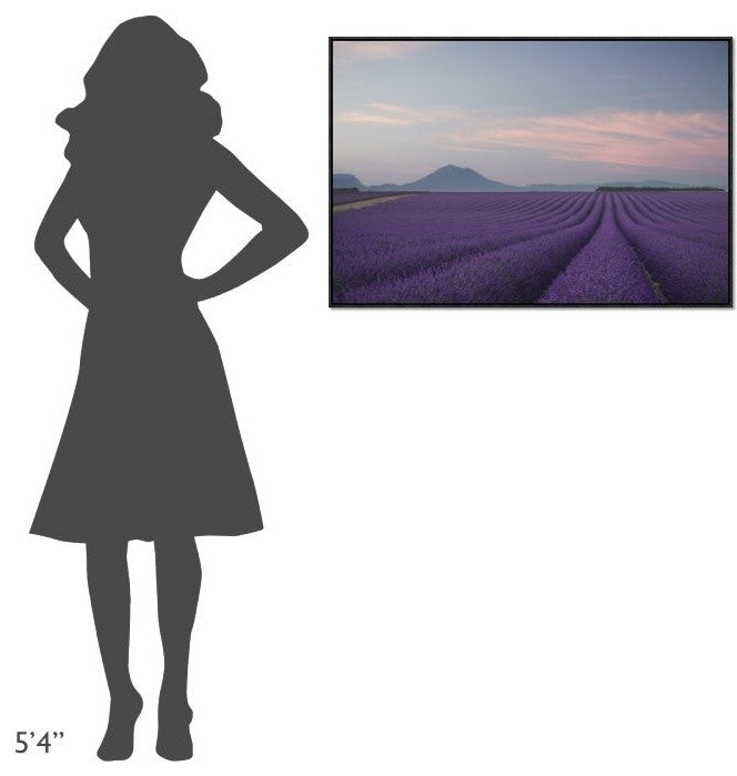 Lavender Field, 36"x24"