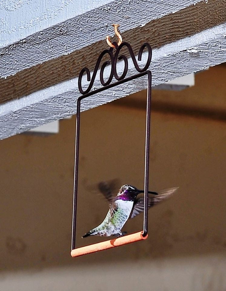 Original Hummingbird Swing, Brown
