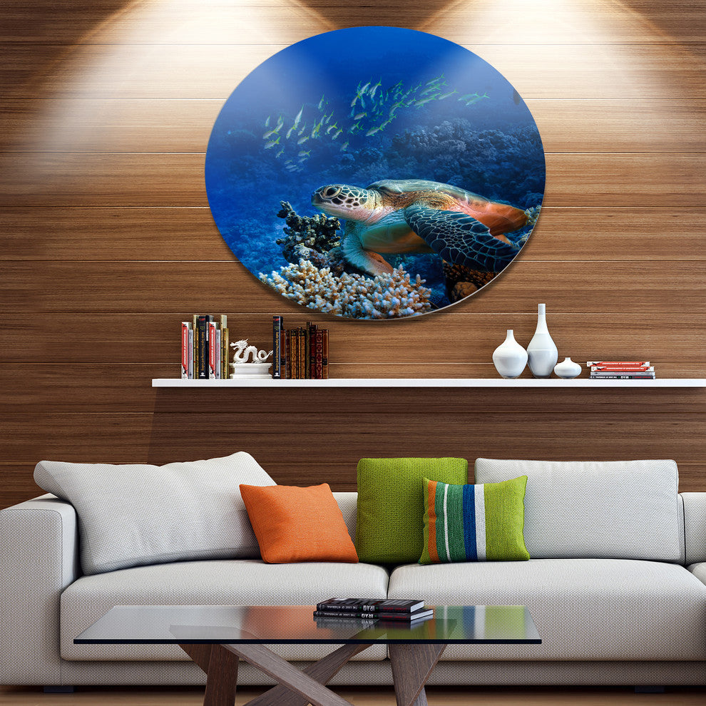 Sea Turtle Underwater, Animal Round Wall Art, 36"