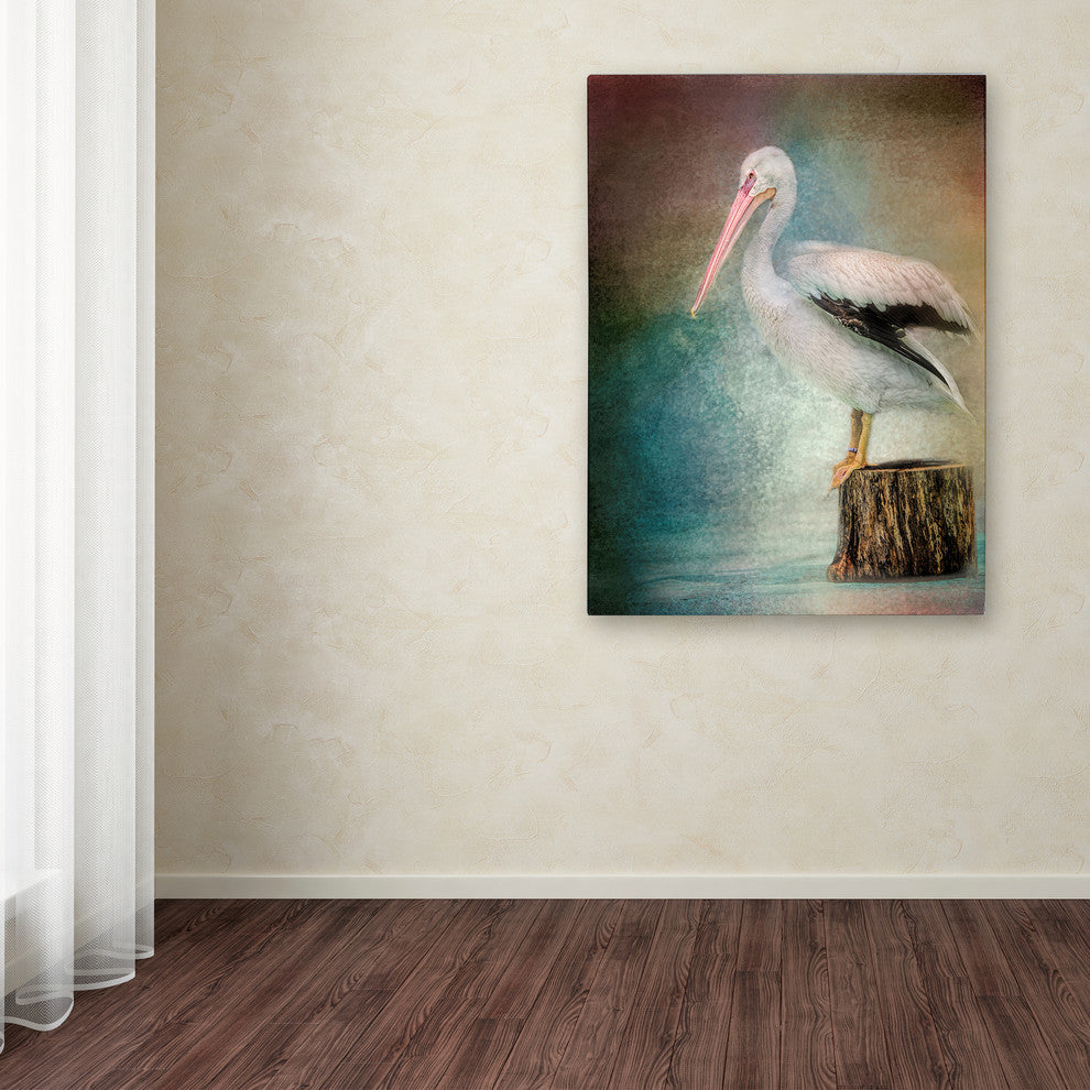 Jai Johnson 'Perched Pelican' Canvas Art, 24 x 18