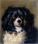 Gourlay Steell Dash, 20"x25" Gallery Wrapped Canvas Print