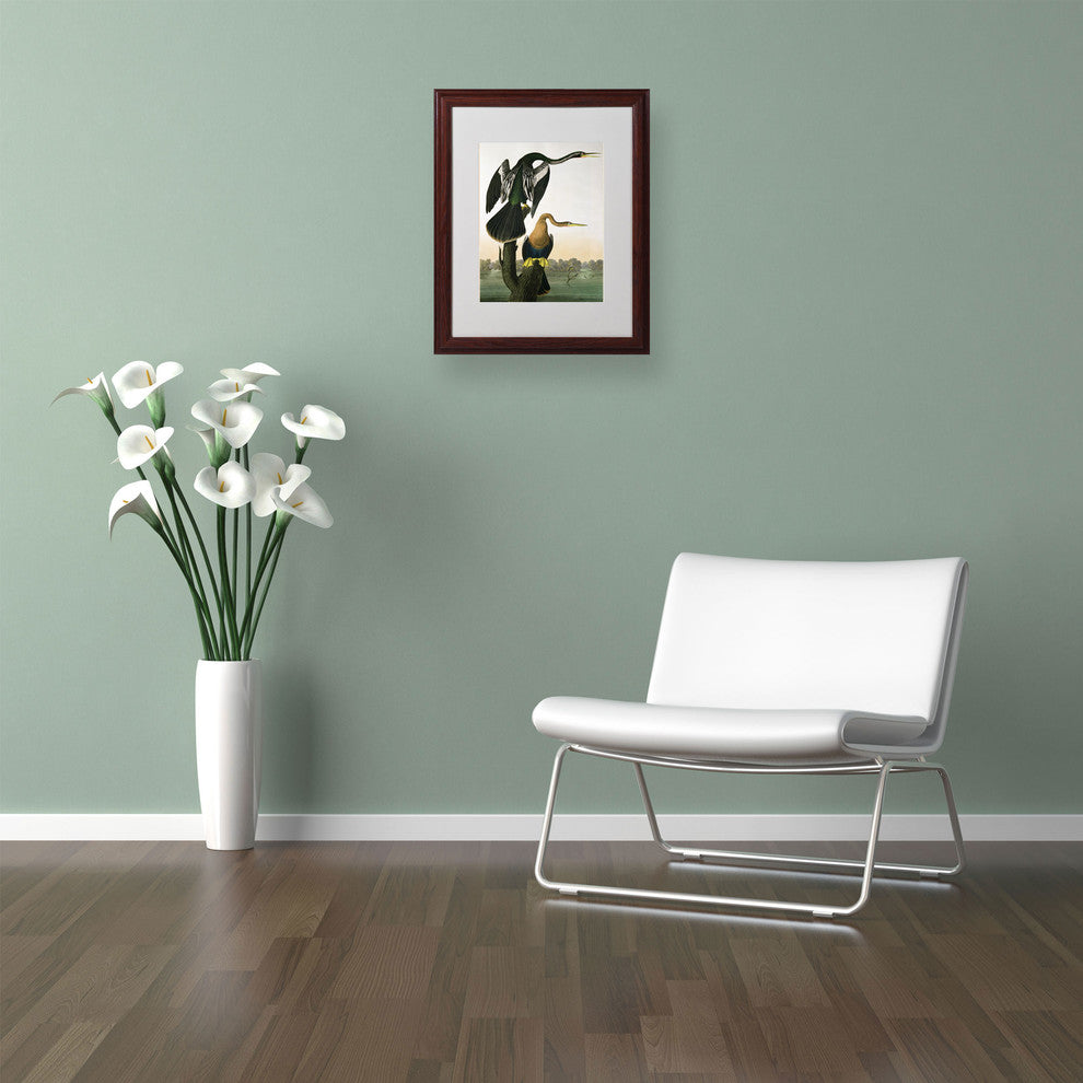 'Black-Billed Darter' Matted Framed Canvas Art by John James Audubon