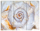 Great Skeleton of Sea Shell, Oversized Animal Wall Art, 36x28, 3 Panels