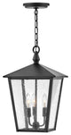 Hinkley Huntersfield Medium Hanging Lantern, Black