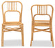 Ivora Modern Bohemian Natural Brown Rattan 2-Piece Dining Chair Set
