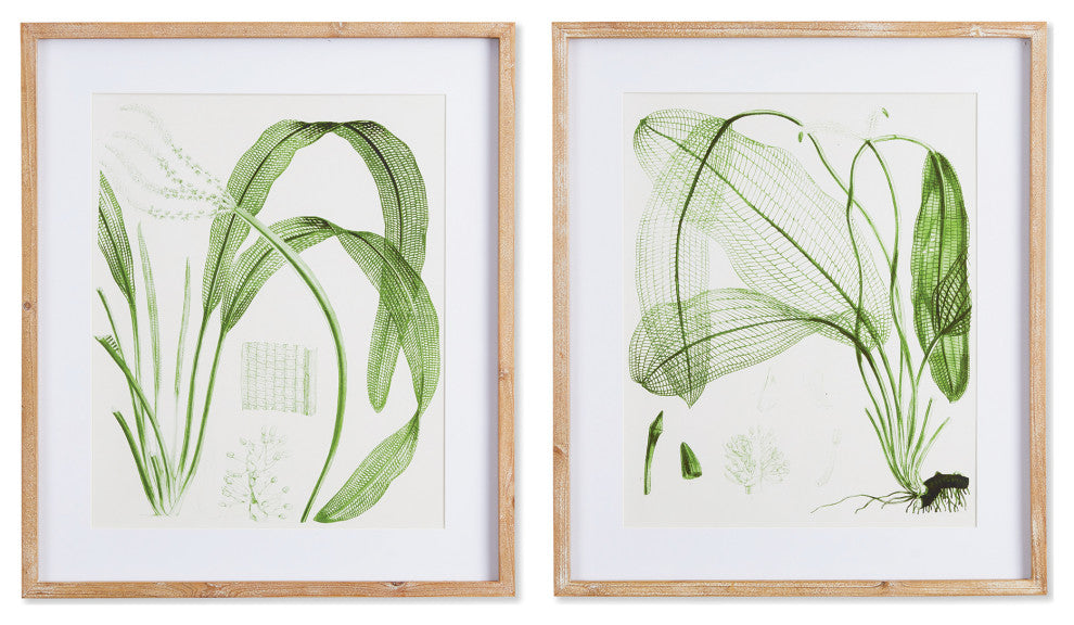 Aquatic Leaf Prints, Set of 2