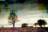 "Twilight Sleep" Fine Art Canvas Print, 60"x40"