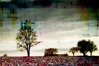 "Twilight Sleep" Fine Art Canvas Print, 60"x40"
