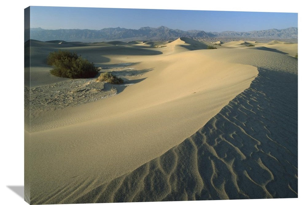 "Mesquite Flat Sand Dunes, Death Valley National Park, California" Artwork