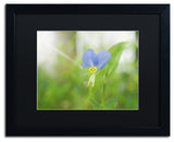 PIPA Fine Art 'Asiatic Dayflower' Matted Framed Art, 20x16