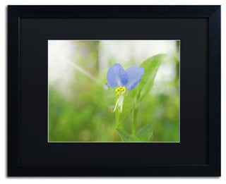 PIPA Fine Art 'Asiatic Dayflower' Matted Framed Art, 20x16