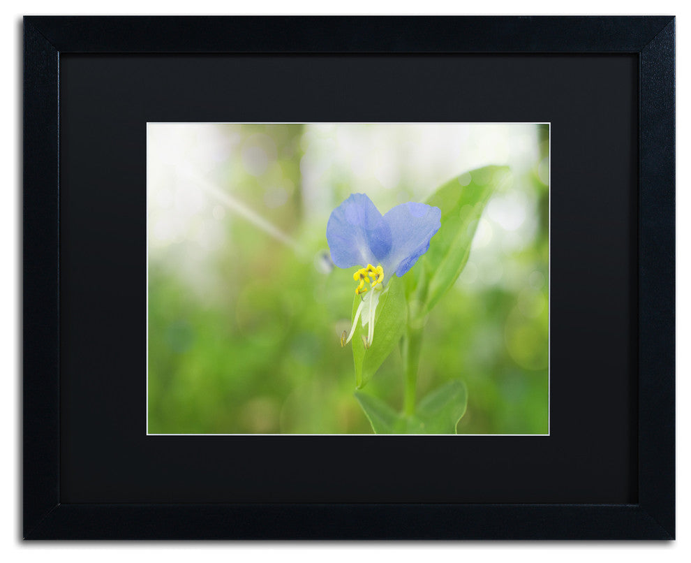 PIPA Fine Art 'Asiatic Dayflower' Matted Framed Art, 20x16