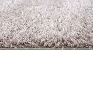 Gewnee Camdyn Super Soft Polyester Shag Area Rug, 4'x6'