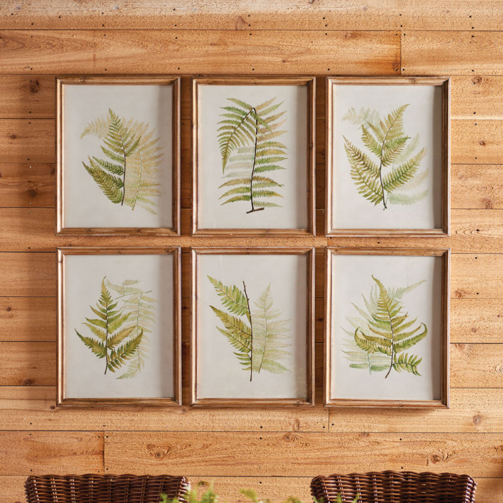6-Piece Framed Fern Study Set