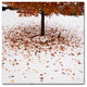 ''Maple Leaves in the Snow'' Canvas Art by Kurt Shaffer