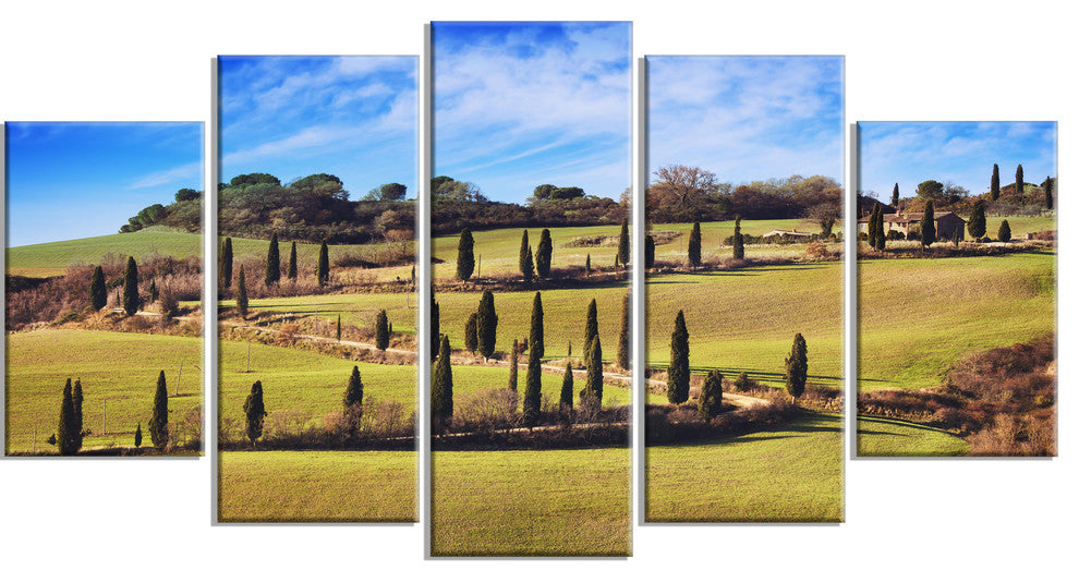 "Cypress Trees Scenic Road Siena Italy" Landscape Wall Art, 5 Panels, 60"x32"