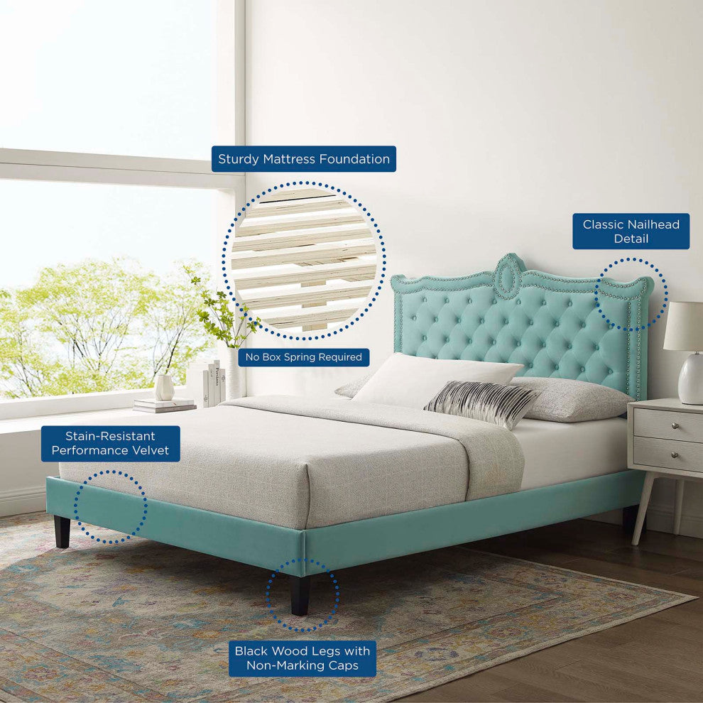 Platform Bed Frame, Nailhead, Queen Size, Blue, Velvet, Modern, Guest Suite