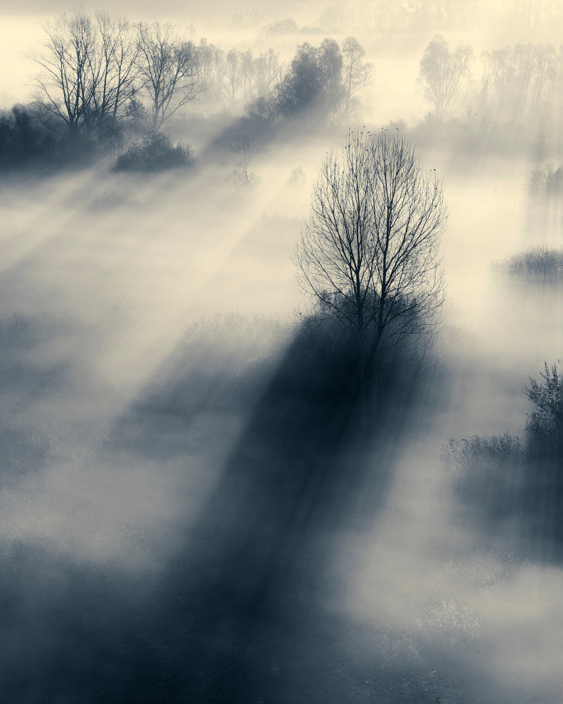 30x38 The Light, Unframed Artwork