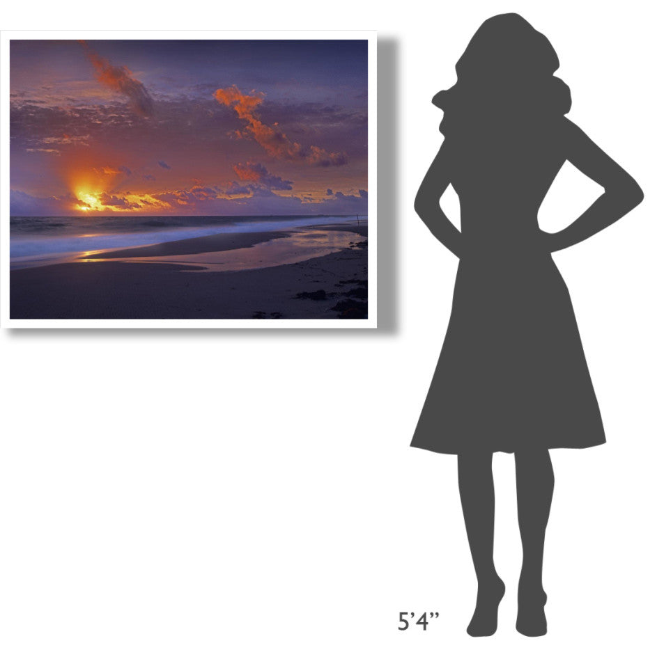 "McArthur beach at sunrise, Florida" Paper Print by Tim Fitzharris, 42"x32"